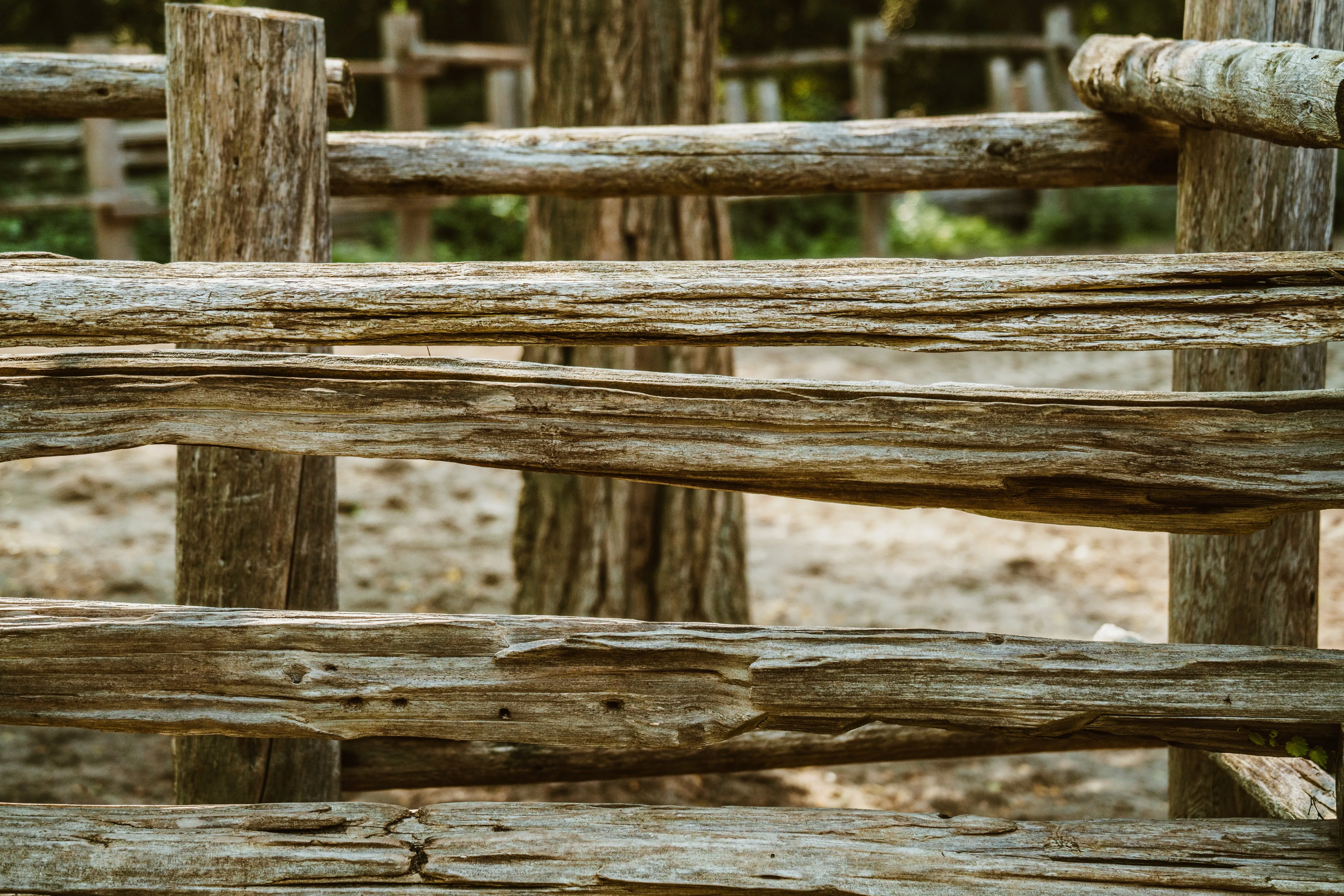 Weathered fence on Appalachian land